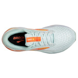 W Brooks Ghost 16